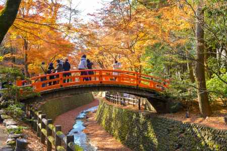 暖色に囲まれる鶯橋