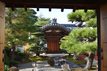 妙心寺　金牛院