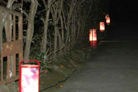 法輪寺参道を照らす灯篭