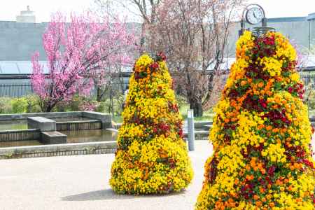 京都府立植物園　花のエントランス