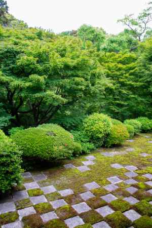 東福寺　市松の庭