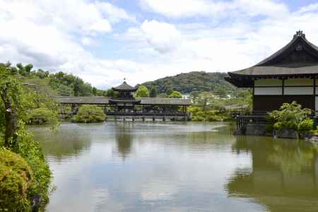 池に浮かぶ