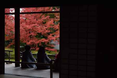 相国寺の秋３