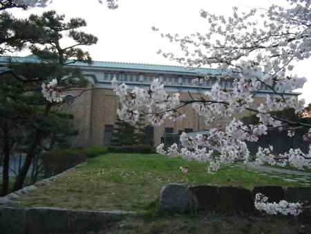 桜と京都市美術館