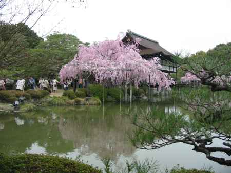 春の平安神宮（尚美館）