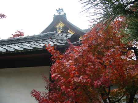 紅葉の下鴨神社