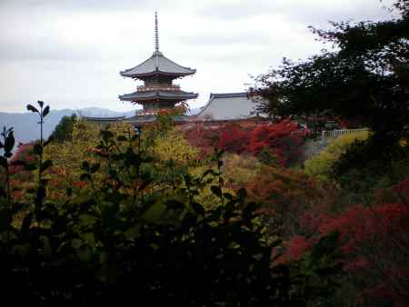 秋の清水寺