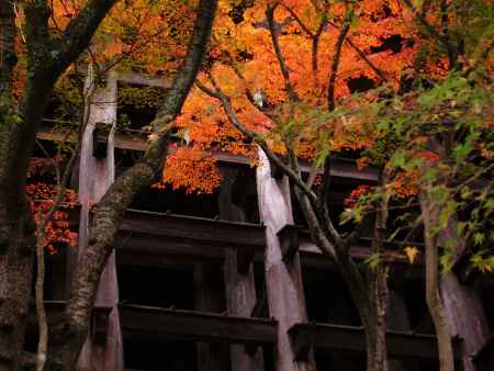 紅葉の清水の舞台