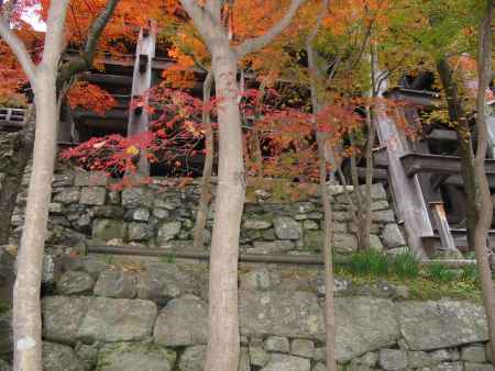 紅葉の清水寺