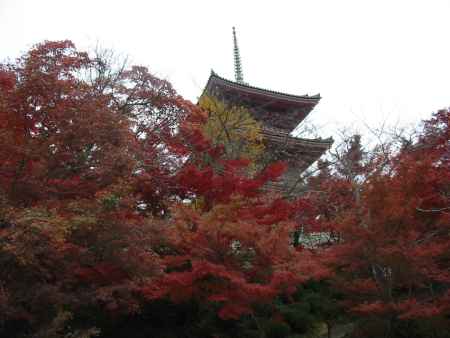 清水寺三重塔と紅葉