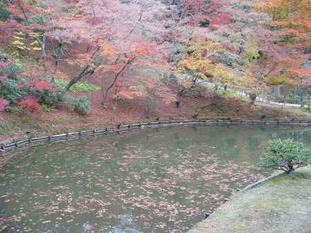 高台寺の紅葉