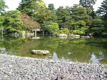 御池庭の木々