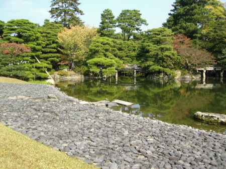 御池庭の木々