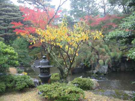 京都御所　秋の庭園