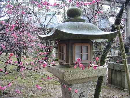 北野天満宮の石灯籠と紅梅