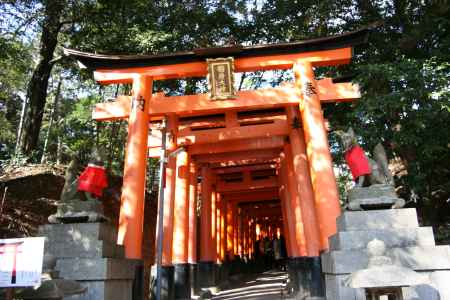 千本鳥居と狐