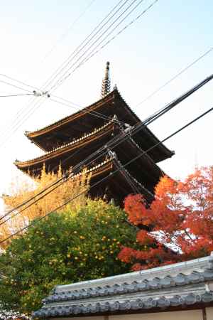 紅葉と八坂の塔