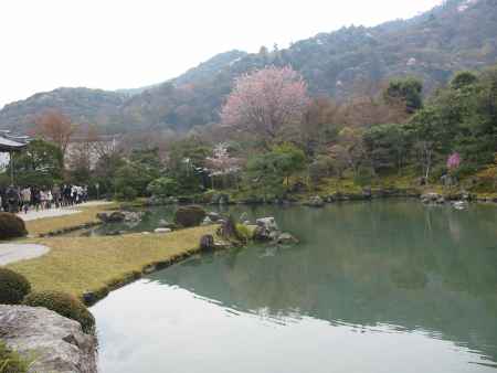 天龍寺曹源池庭園と嵐山