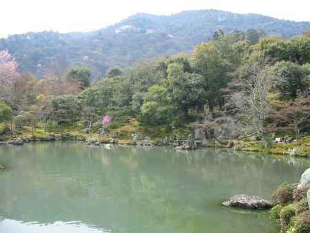 天龍寺曹源池庭園