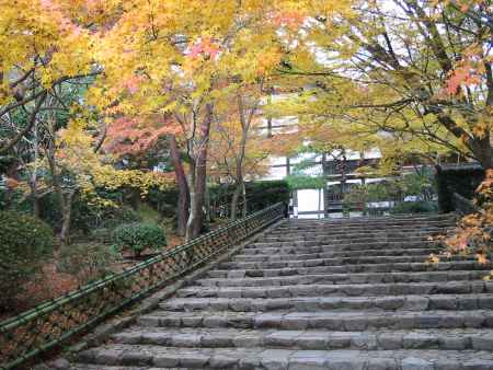 紅葉の龍安寺垣と参道