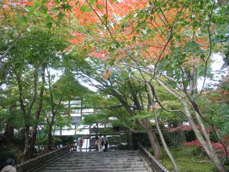 龍安寺参道の紅葉