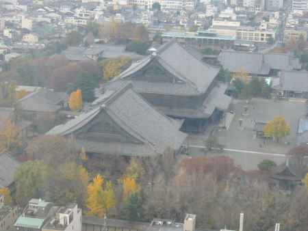 京都タワーからみた秋の東本願寺