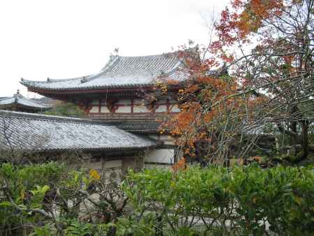 秋の平等院