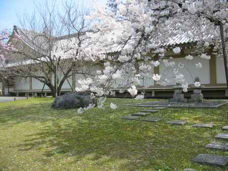 春の醍醐寺