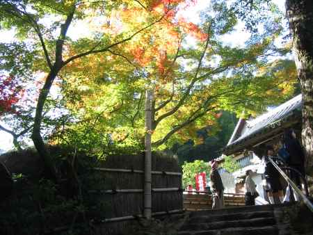 秋の鈴虫寺山門