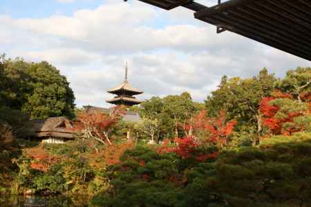 秋の仁和寺の北庭から五重塔