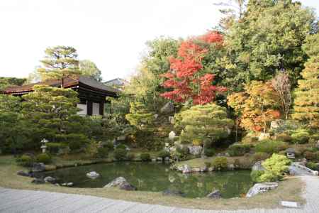 秋の仁和寺の庭園