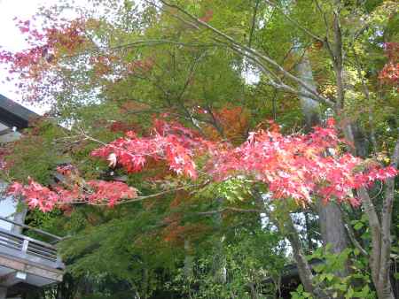 紅葉の大原三千院