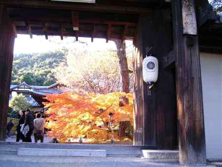 紅葉の実相院山門