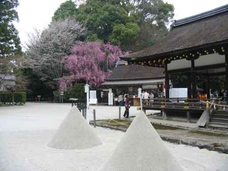 春の上賀茂神社境内