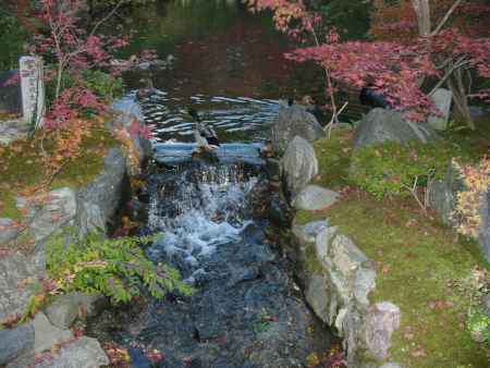 秋の永観堂宝生池