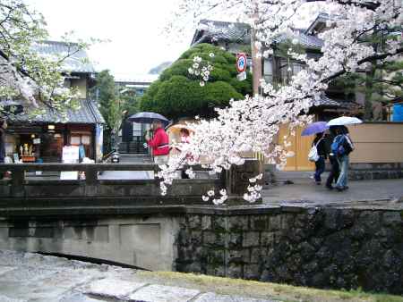 雨の銀閣寺道