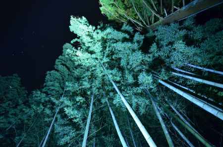 夜空に延びる青灯