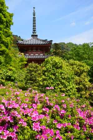 西国十番彩るつつじ