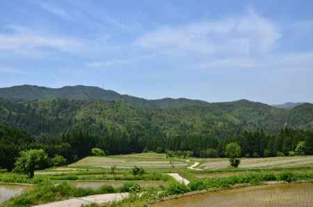 嵯峨野の山とともに