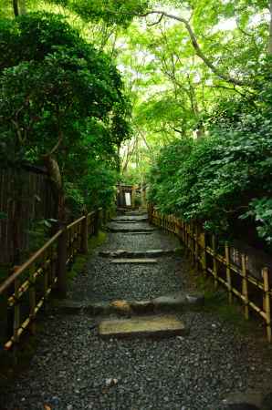 雨に染まる嵯峨野