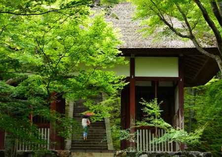 小倉山、緑彩る雨