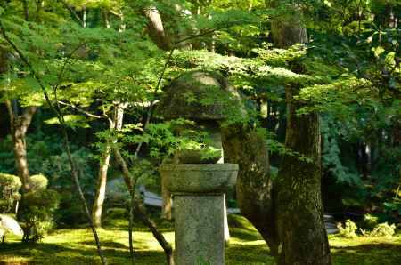 緑に沁みる水の琴