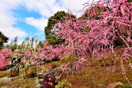 城南、彩の春