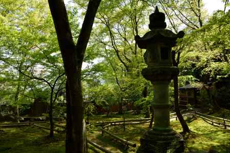 緑の風と鳥の声