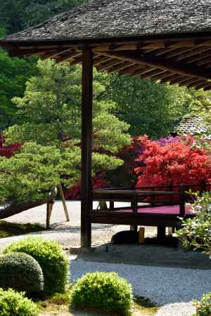 門跡寺院の朱