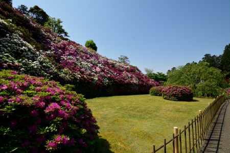 花寺、春の盛り