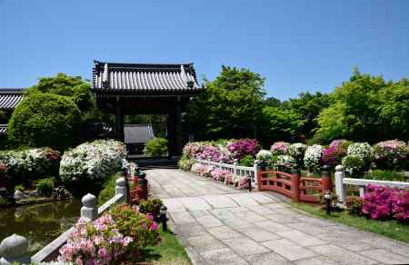 洛北、花の寺