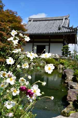 西山、花寺の秋