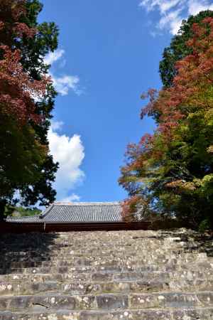 高雄山の五色