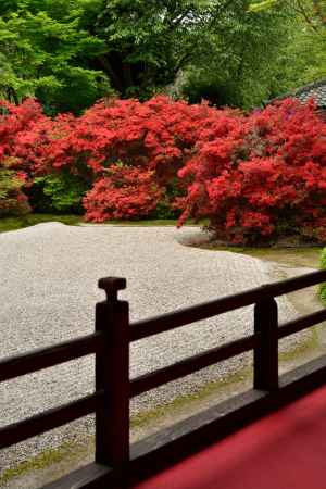 洛北、朱の名刹